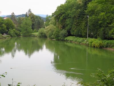 Lake in Graz